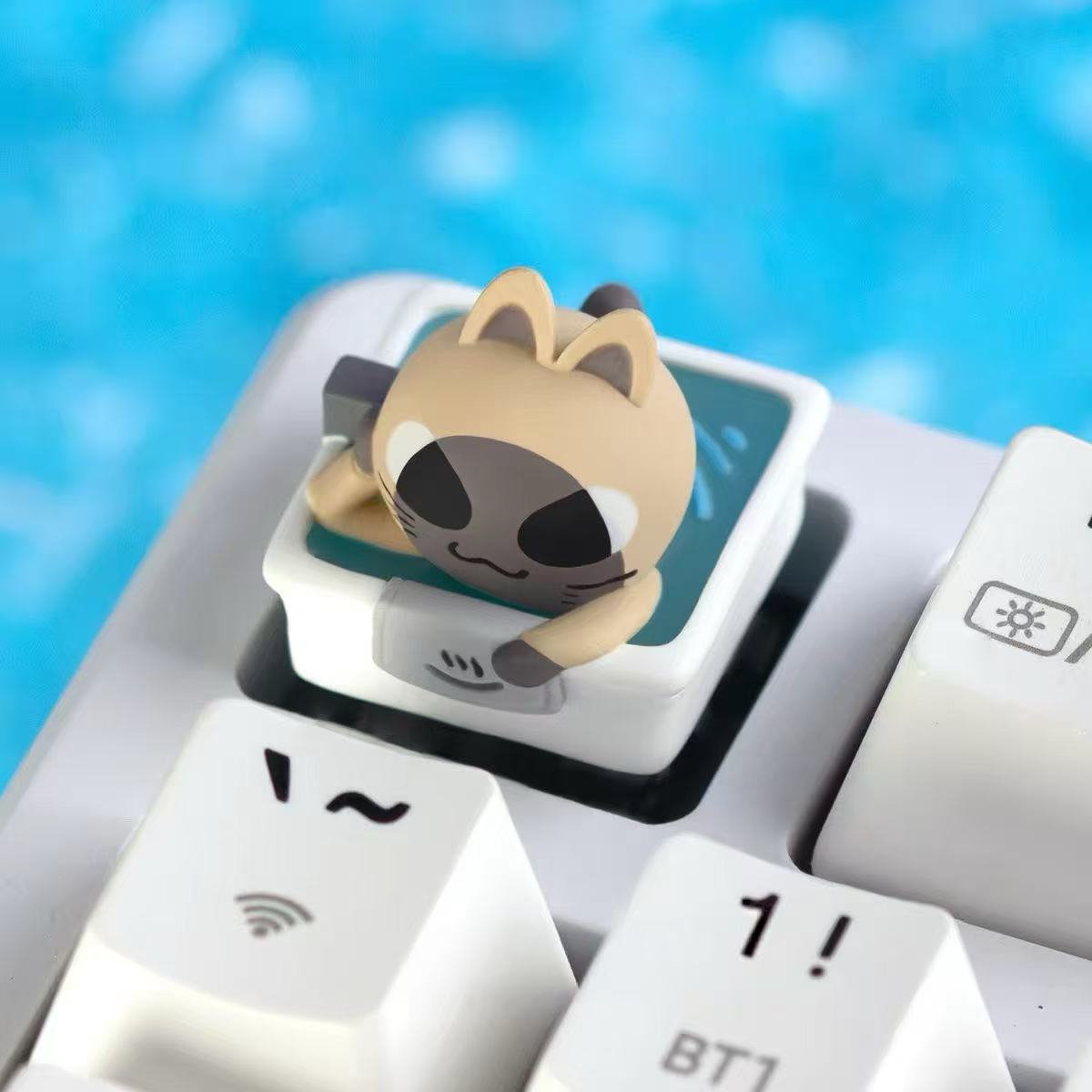 シャムリップル
